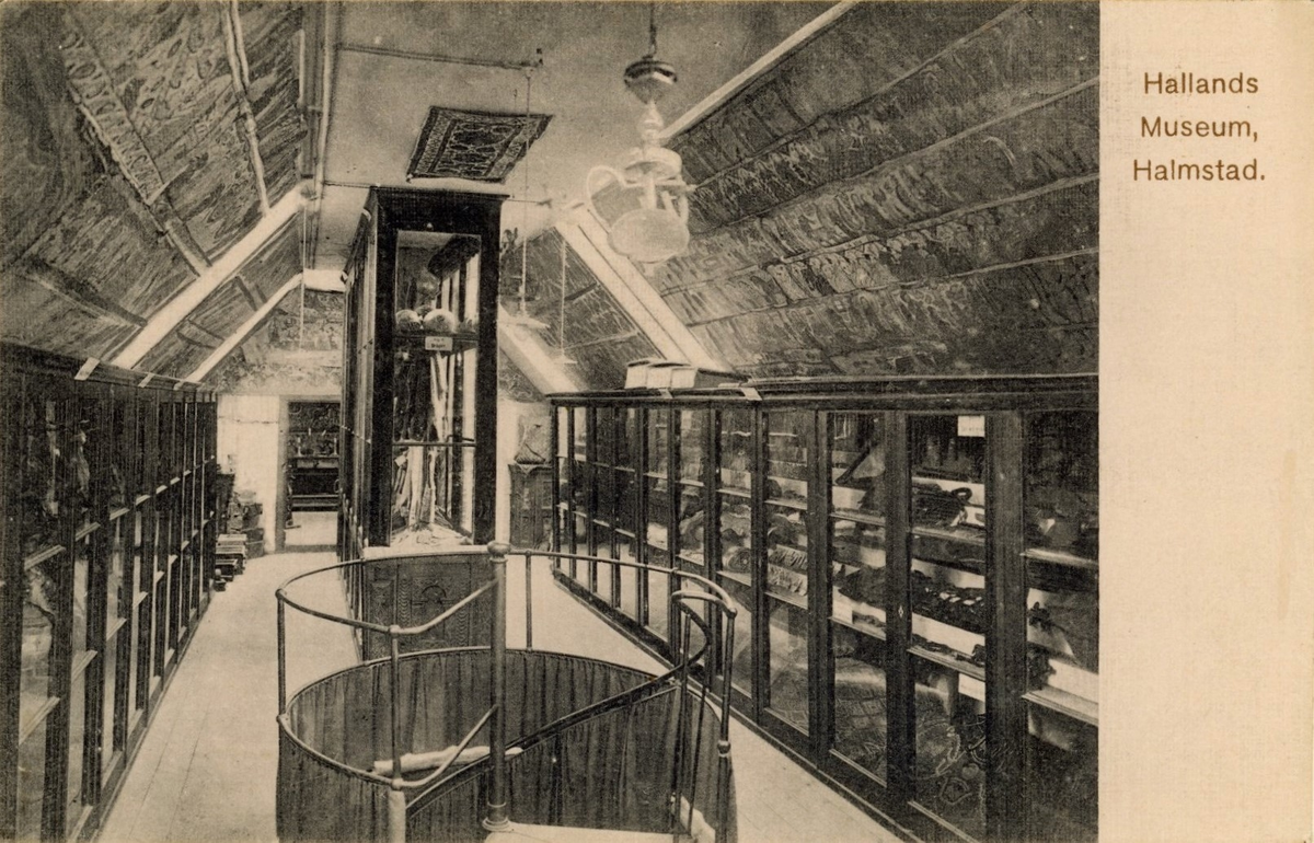 Vykort, "Hallands Museum, Halmstad." med noteringen "i Norreport". Interiör med föremål i montrar, målade bonader i taket och en spiraltrappa i förgrunden. Bild 2: Tonad variant i sin helhet.