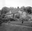 Den påkostade prästgården i Ringarum uppfördes 1792 på samma plats som en äldre och vid tiden utdömd tjänstebostad för socknens herde. Fotoåret 1954 disponerades gården sedan länge av kontraktsprost Baltzar Jennes. Vy från söder.