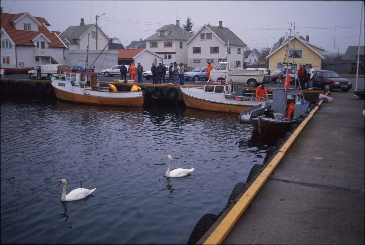 Fiskere ankommer Åkrehamn med sild og torsk. De 14 første bildene er av fangster med sild. Bilde nr. 16 til 19 viser fangst av torsk i garn. 