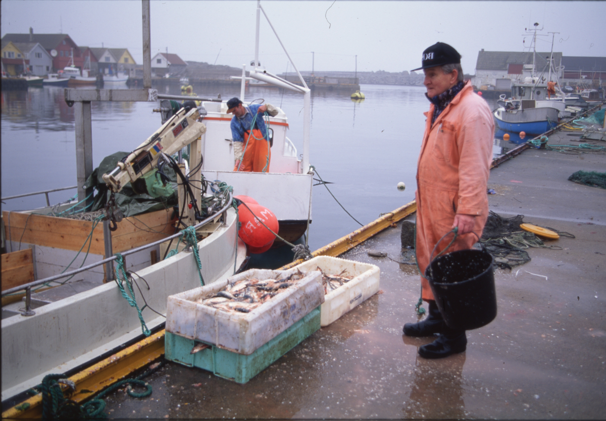 Fiskere ankommer Åkrehamn med sild og torsk. De 14 første bildene er av fangster med sild. Bilde nr. 16 til 19 viser fangst av torsk i garn. 
