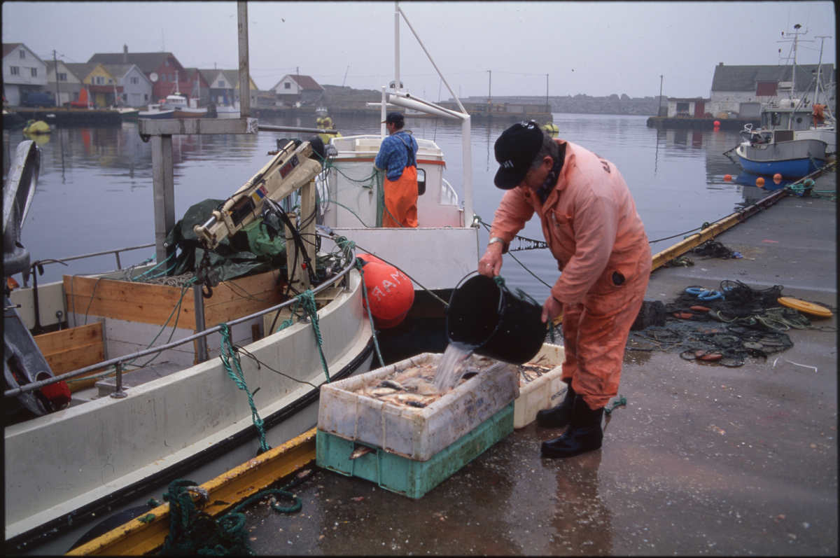 Fiskere ankommer Åkrehamn med sild og torsk. De 14 første bildene er av fangster med sild. Bilde nr. 16 til 19 viser fangst av torsk i garn. 