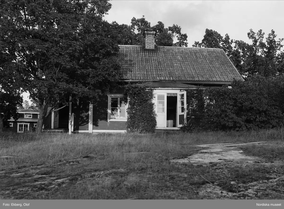Susanna Elisabeth Berghs gård på Kymmendö som var förebild till Strindbergs "Hemsöborna". Från höger: gamla stugan, storstugan, undantagsstugan.