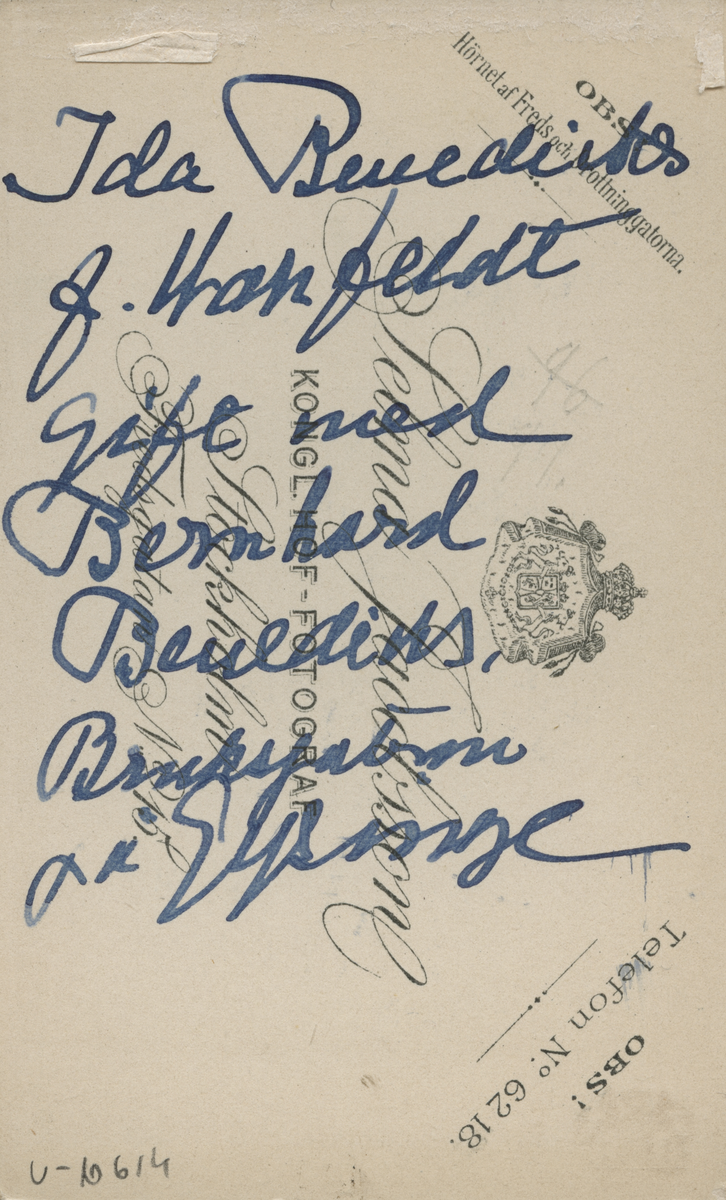 Kvinnoporträtt av Ida Benedicks född Wahlfeldt, gift med Bernhard Benedicks, brukspatron i Gysinge. Fotograf Selma Jacobsson, Stockholm.