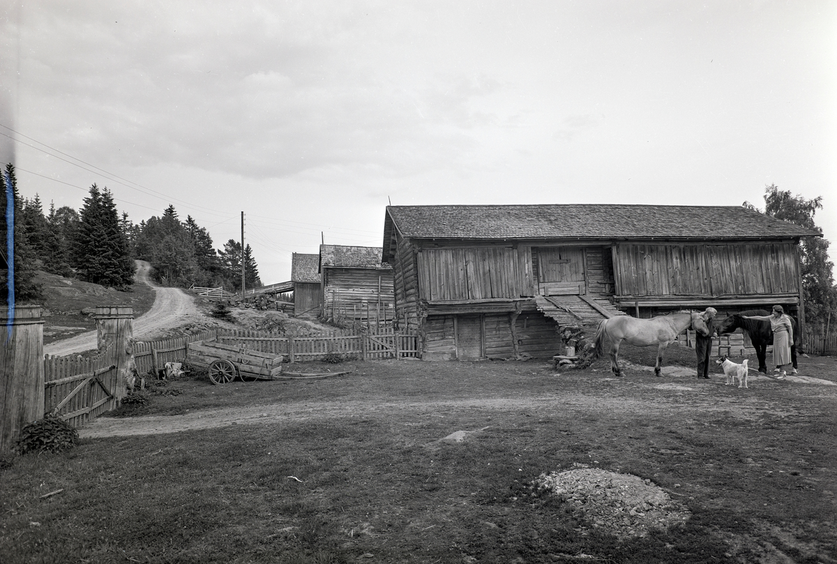 Ringsaker, Brøttum, eksteriør gårdstun av Vesterlien, Vesterlia, eid av Wilfred Andersen (20.10.1891-1953). Han var yngste sønn av gullsmed David Andersen, han var visekonsul i Alaxandria, Han var gift med Oda Andersen: født Oda Wenche Monrad Krohn (20.08.1896-1975) hun var eldste søster av Lillebel Ibsen. De kjøpte Vesterlien i 1940
Oda ble i 1958 gift med italienske operasanger Piero Scartlatti (1904-) (La Scala i Roma)
Wilfred ga ut fire diktsamlinger. Wilfred holder på en hest inne gårdstunet. Fjording. 
,