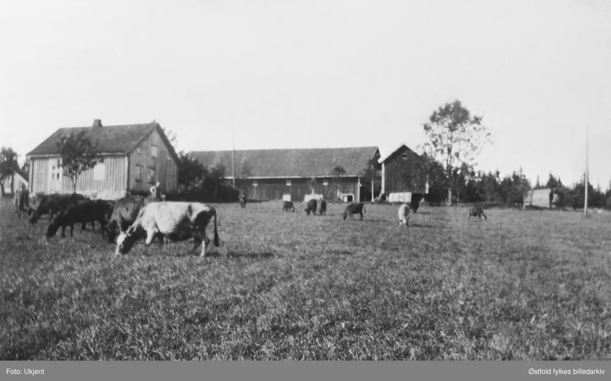 Rognerud i Varteig, fotografert før 1940.