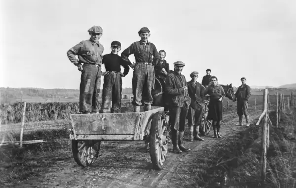 Potetopptaking på gården Lunde i Varteig ca. 1938-40. 
Fra venstre: Odd Haugeneset, Ragnvald Lunde, Knut Lunde, Inger Lunde, Arnt Lunde, Øivind Lunde Moene, Helge Lunde, Olaug Lunde, Sigmund Lunde.