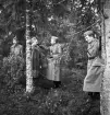 Hemvärnet. 20/4, 1941.
Några män i hemvärnsuniformer diskuterar något i ett skogsbryn.