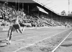 Från friidrottstävlingarna på Stockholms Stadion den 21 augusti. Guy
Taillard, Frankrike vinner löpningen 800 meter med tysken Klaus
Paykowski på andra plats.
