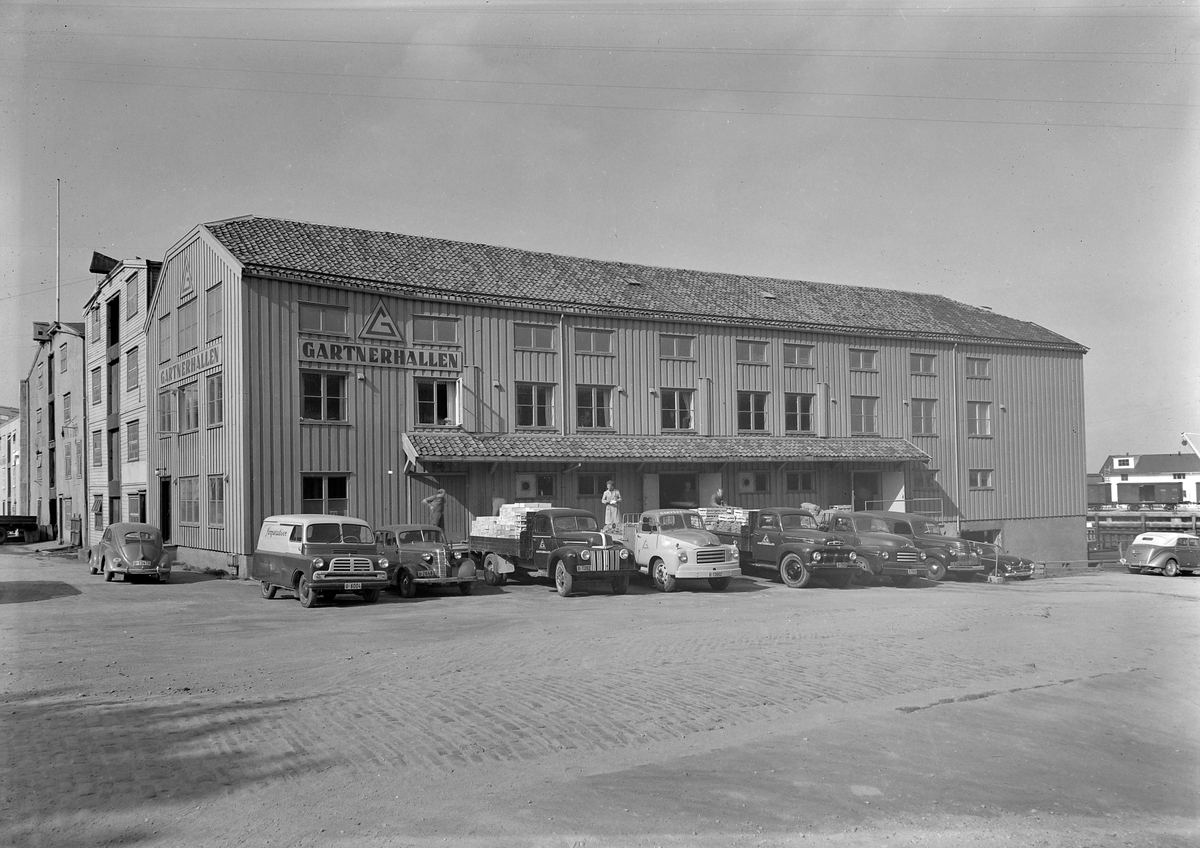 Gartnerhallen, Trøndelagsavdelingen