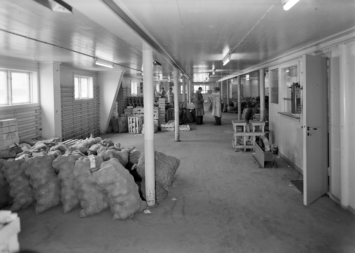 Gartnerhallen, Trøndelagsavdelingen