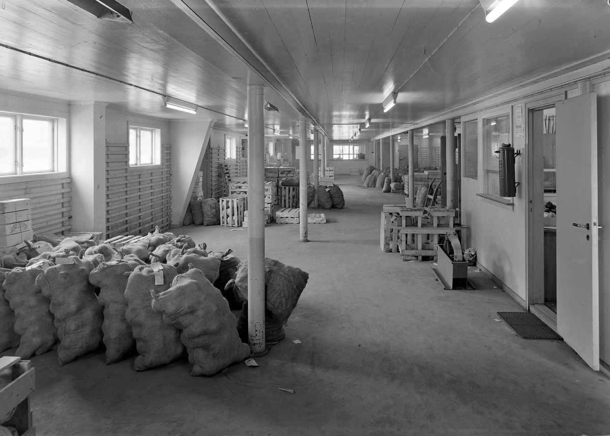 Gartnerhallen, Trøndelagsavdelingen