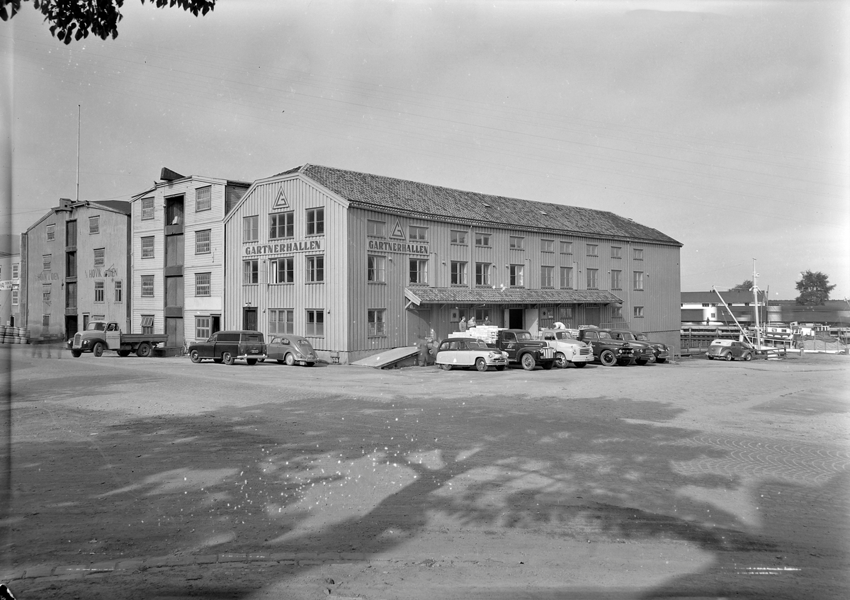 Gartnerhallen, Trøndelagsavdelingen
