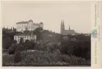 Kabinettsfotografi - Uppsala slott från Stadsträdgården