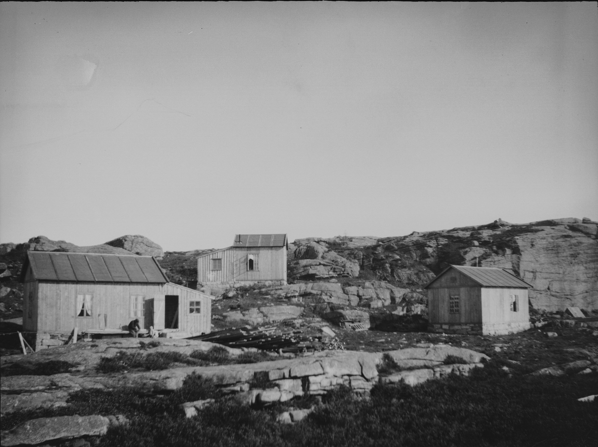Tre enkle bygninger i fjellandskapet. Bosetning for gruvearbeidere? Fotografen, bergingeniør John Johns, oppholdt seg i Hestad-området i perioden 1915-1917 for å undersøke forekomsten av molybden.