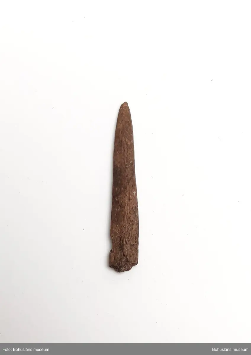 Benspets, förmodad del av nål. Är tecknad (se Hernek & Jonsson 2003)