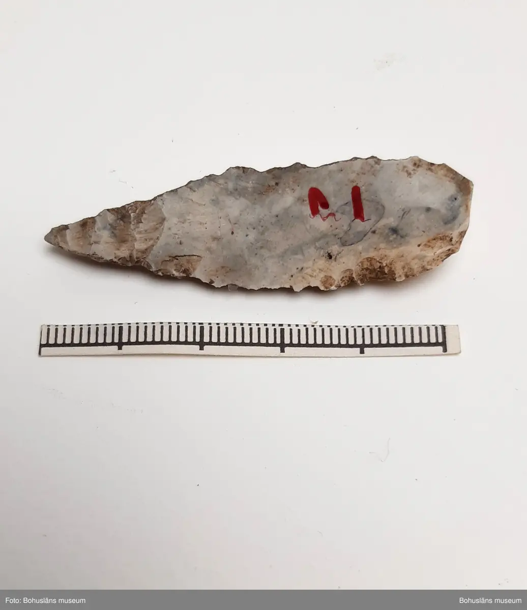 Spånborr, med retusch längs bägge långsidor.