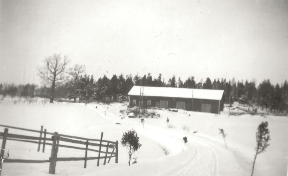 Trångö ladugårds byggnad och de två stora ekarna. Ladugården byggdes runt 1920 av August Andersson med timmer från egen skog. Bilden är tagen från öster i backen där den gamla Trångö och Evalundsstugan senare låg. Byggnaden revs/brändes runt 1965