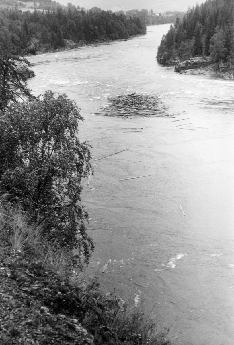 Elvelandskap fra nedre del av Gudbrandsdalslågen, fotografert sommeren 1961. Bildet skal være fra Isakstuøra, en lokalitet som hadde navn etter et bruk som lå daværende kommunegrense mellom Fåberg og Øyer på østsida av vassdraget, anslagsvis fire kilometer nedenfor Hunderfossen. Her var elva forholdsvis bredt og stilleflytende. En tømmerhaug som hadde bygd seg opp i midt i elveløpet tyder på at det var ei grunn ør under vannspeilet akkurat der. 

Dette fotografiet ble åpenbart tatt for å dokumentere fløtingsforholdene i vassderaget før utbygginga av den ovenforliggende Hunderfossen var realisert. I et av Glomma fellesfløtingsforenings album finner vi denne innskriften ved dette fotografiet: «Notater fra Befaring, Lågen, Isakstuøren - Hunderfoss 3/8-61 med vannfør 403 m3/sek., målt i Losna. (Ment som supplement til Hollums forutgående undersøkelser på vannføring 252 m3/sek. Foregående sider)»


Se GF43-049 - 065.
