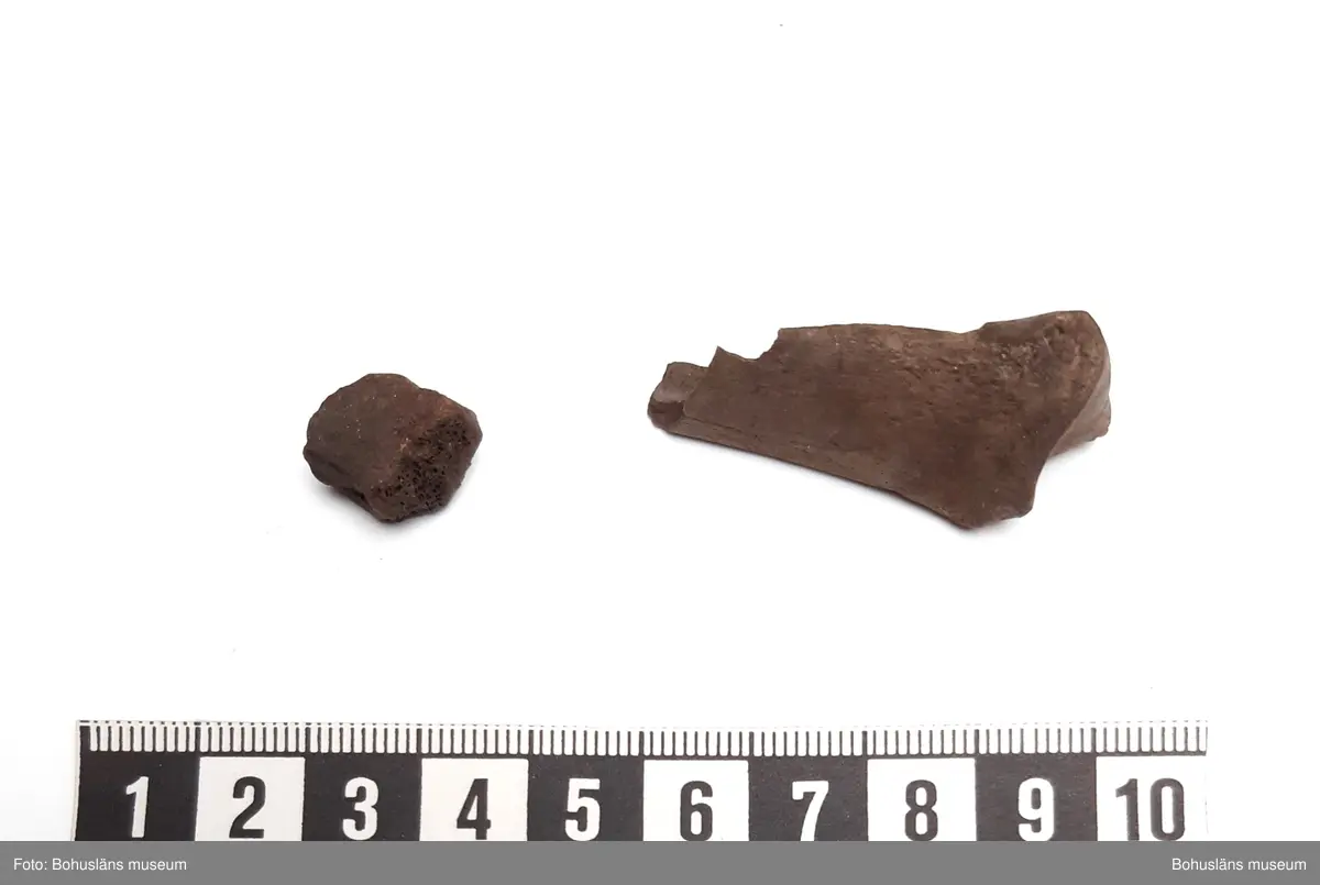 Innehåller obrända ben från svin, smålom, laxfisk, torskfisk, tonfisk

6 påsar, från olika stick