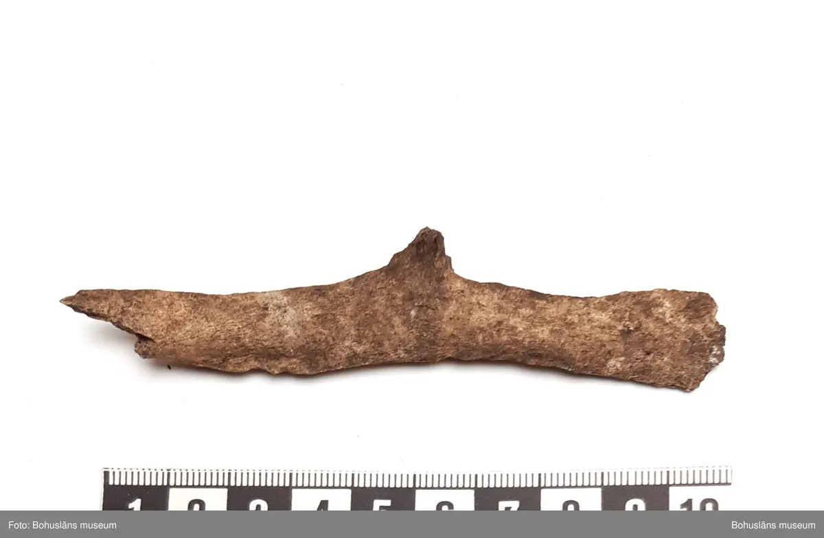 Innehåller bl a del av ryggkota (utskott) från vitnosdelfin

2 påsar