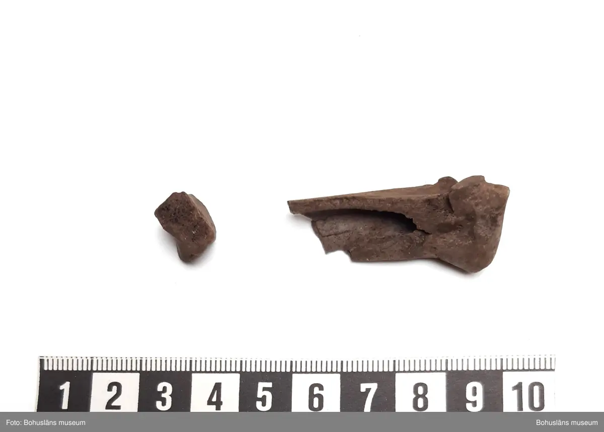 Innehåller obrända ben från svin, smålom, laxfisk, torskfisk, tonfisk

6 påsar, från olika stick