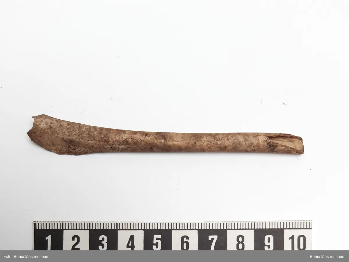 Innehåller obrända ben från svin, smålom, laxfisk, torskfisk, tonfisk

6 påsar, från olika stick