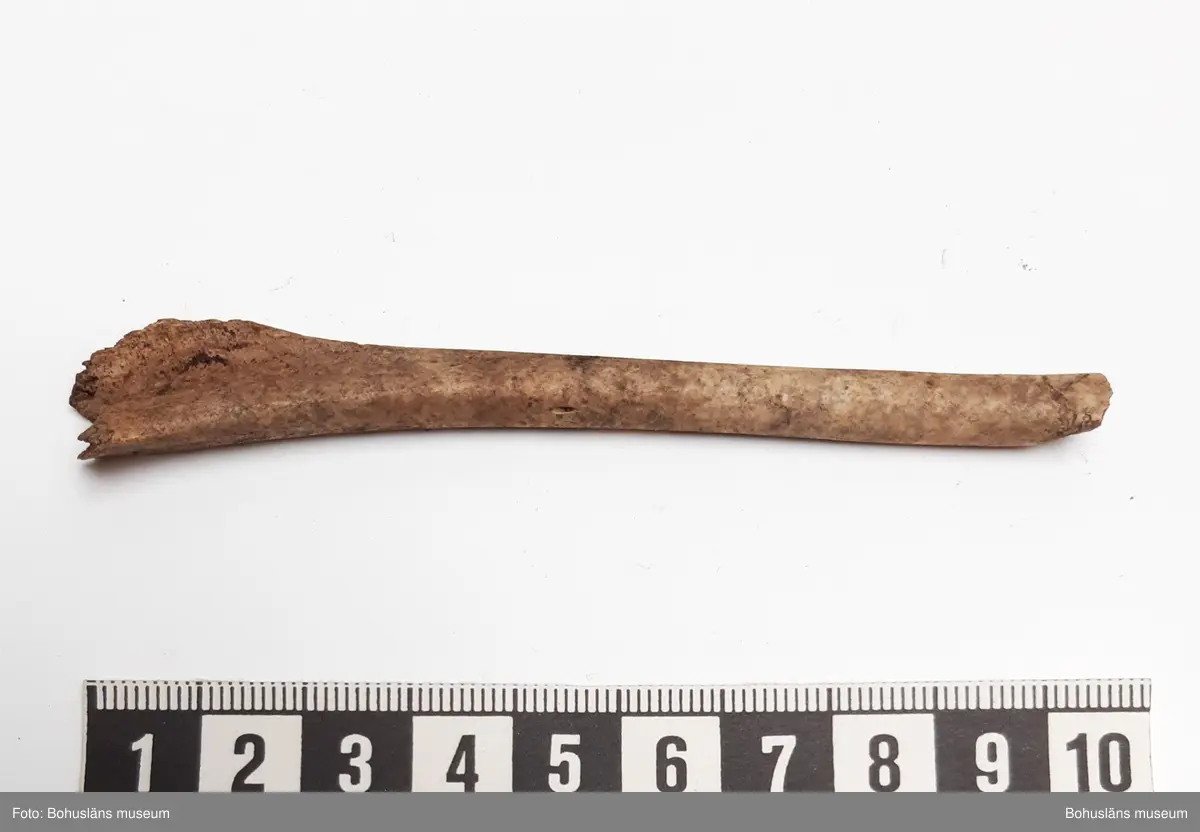 Innehåller obrända ben från svin, smålom, laxfisk, torskfisk, tonfisk

6 påsar, från olika stick