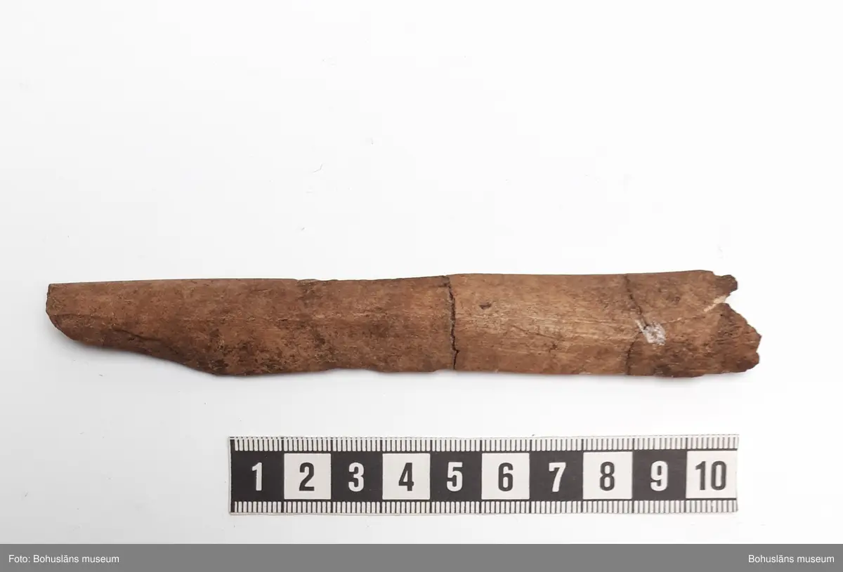 Innehåller bl a ryggkotor vitnosdelfin, oxögonfisk, makrill, kronhjort, säl (förmodl grönlandssäl) och även några snäckskal. Fynden fördelade på ett flertal påsar.