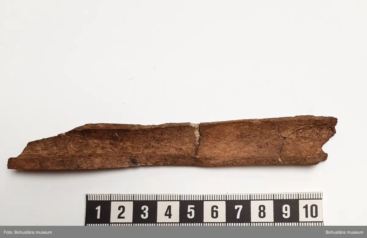 Innehåller bl a ryggkotor vitnosdelfin, oxögonfisk, makrill, kronhjort, säl (förmodl grönlandssäl) och även några snäckskal. Fynden fördelade på ett flertal påsar.