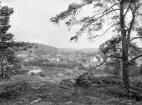 Vi är vana vid att Rammunderberget utgjort utgångspunkt för panoramor över Söderköping. Här hade fotografen som alternativ tagit posto på höjden vid Broby för att fånga en vy från väster. Foto omkring 1920.