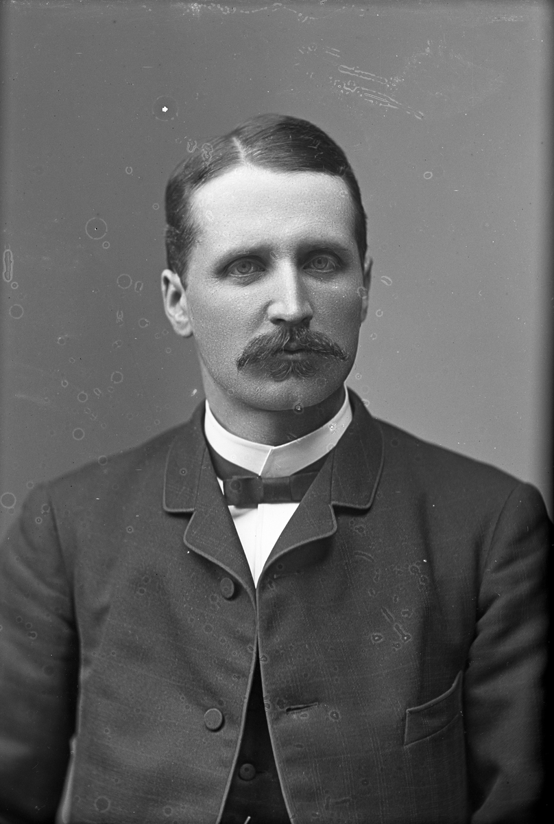 Herr Erik Dahlgren