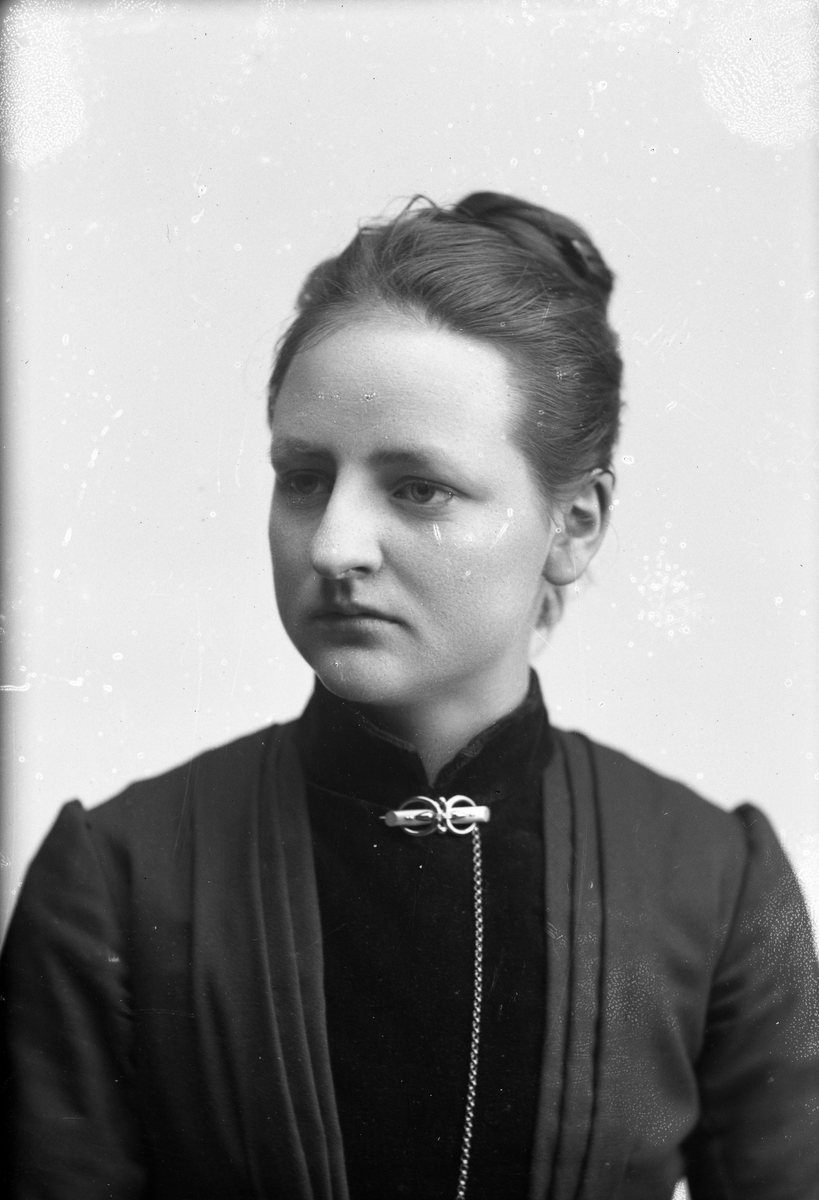 Dahlgren, Hilma (1868 - 1936)