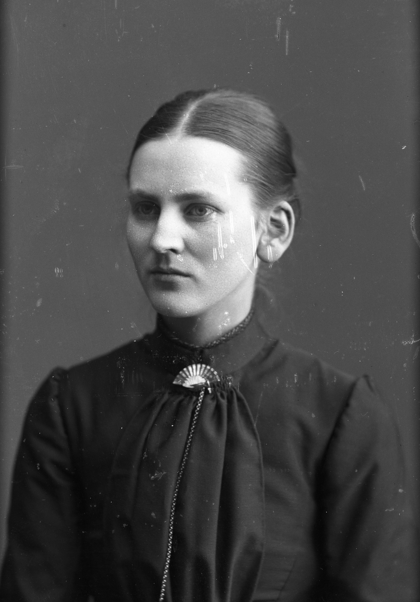 Dahlgren, Ida Elisabeth (1865 - 1952)
