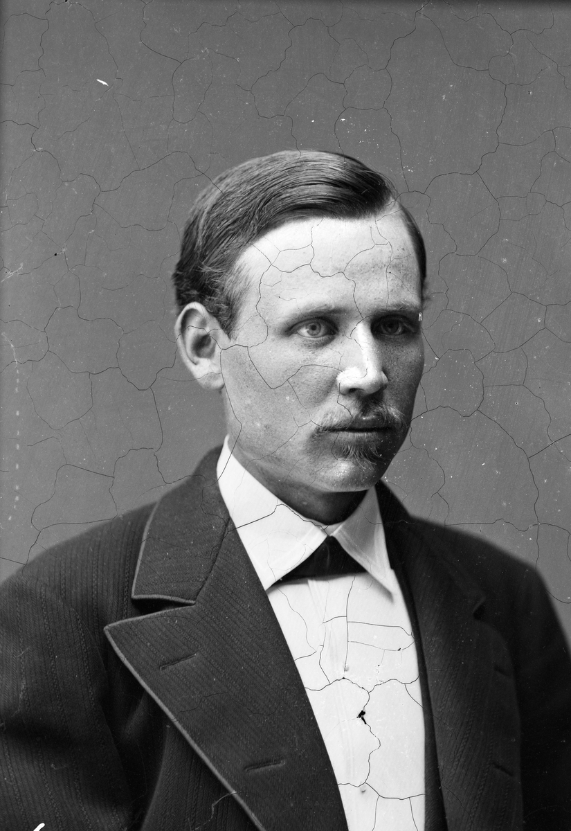 Karl Dahlgren