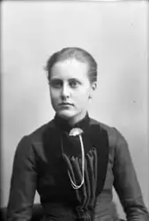 Agnes Dahlgren