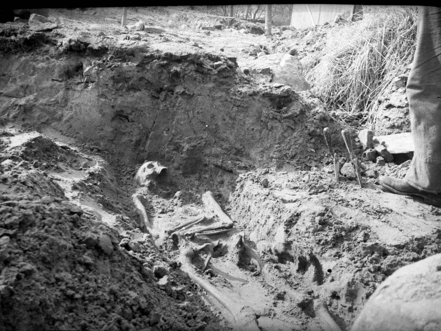 Arkeologisk utgrävning vid Lindhovs gård. 124 gravar grävdes ut under kyrkan år 1937. Ett schakt med skelettdelar. Fotografen är okänd. Två bilder.