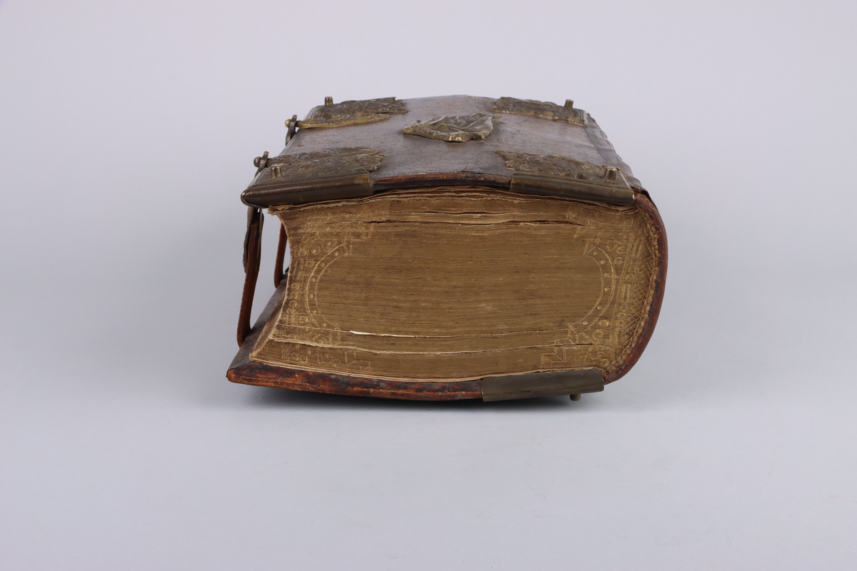 Bibel, marmorerat skinnband med upphöjda bind, dekorerad rygg. På framsida beslag i genombruten mässing med olika apostlar mitt på Moses med stentavlor. Omtag och lås med Karl XII monogram. Bibeln rymmer flertalet planscher och porträtt samt utvik med kartor.