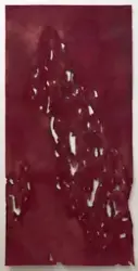 The Body Knows I [Pastelltegning]