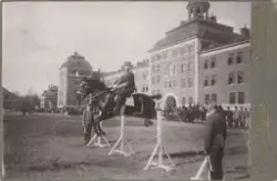 Häst hoppar över hinder vid Livregementets dragoner, med reg