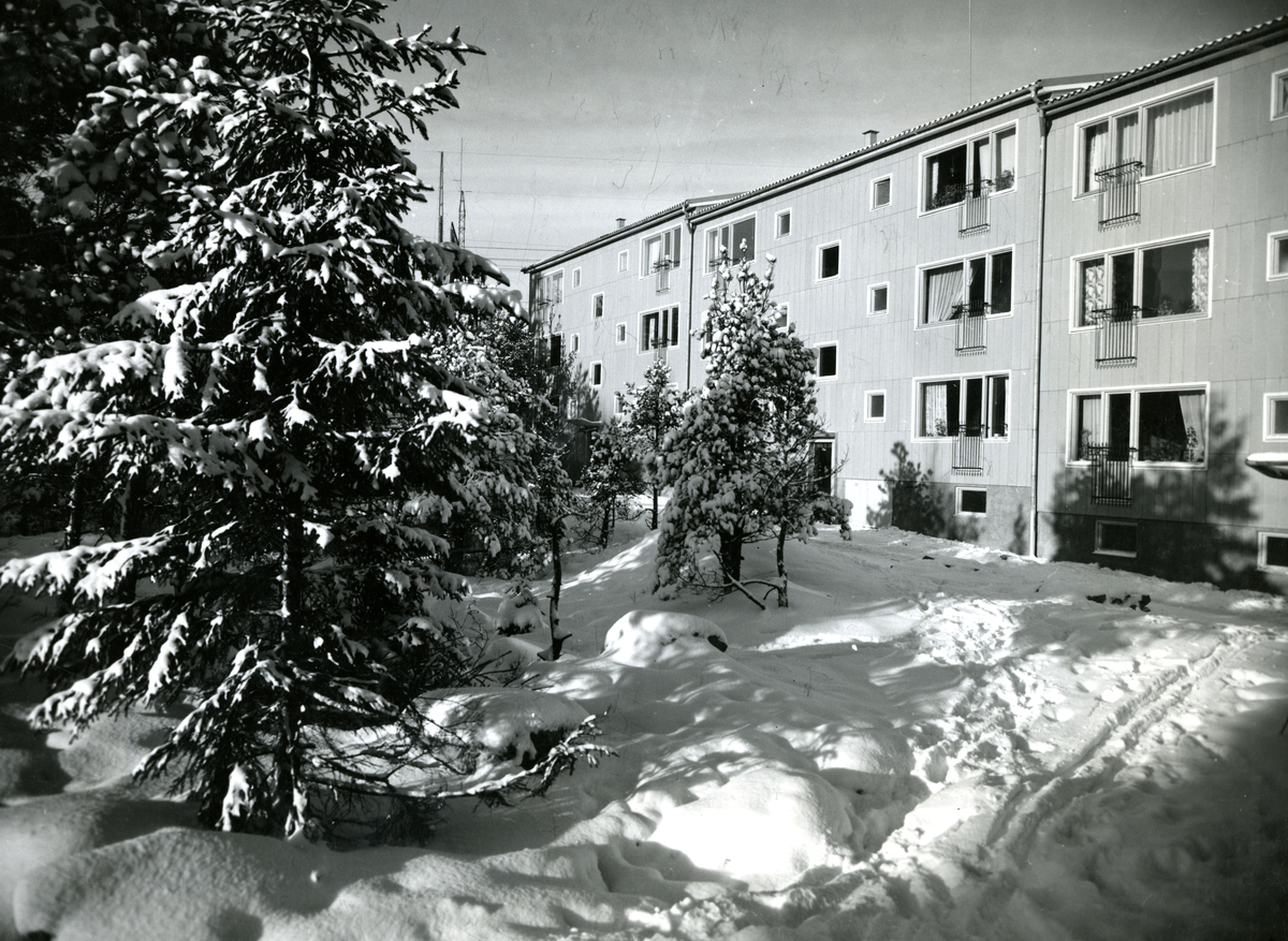 Kortedala