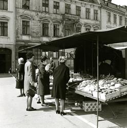 Landala - Göteborgs stads bostadsaktiebolags fotosamling