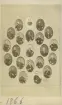 Porträttgalleri från 1866.