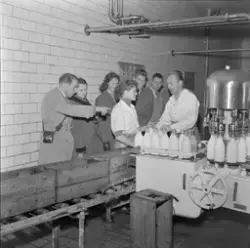 Norges Bygdeungdomslag på besøk til Trøndermeieriet