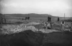 Folk och företeelser i Varberg - fotografier av Eric "Bossa-Eric" Johansson