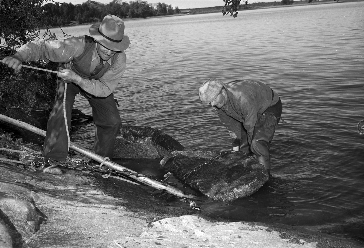 Runstensfynd i Fasterna, Uppland 1951