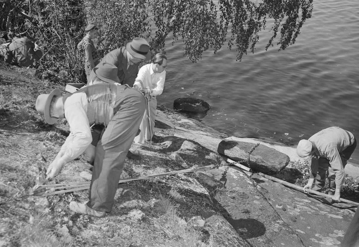 Runstensfynd i Fasterna, Uppland 1951