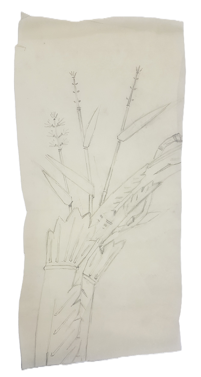 En serie skisser på papper, avser textilmönster. Motiv med bland annat växter och fåglar. Skisserna är i olika storlekar, från ca 30 - 90 cm.
