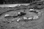 Romfartuna sn Äs RAÄ 119 Arkeologisk undersökning utförd av Vlm / Åke Hyenstrand och Ann Nilsson 1967
A4 Stensättning, rund (Södra delen) efter rensning.
