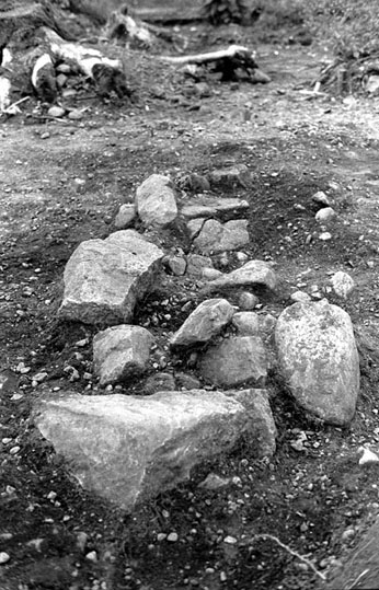 Romfartuna sn Äs RAÄ 119 Arkeologisk undersökning utförd av Vlm / Åke Hyenstrand och 
Ann Nilsson 1967