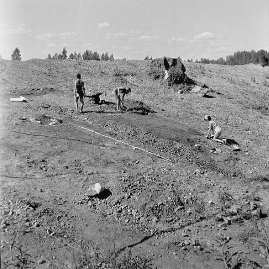 Romfartuna sn Äs RAÄ 119 Arkeologisk undersökning utförd av Vlm / Åke Hyenstrand och Ann Nilsson 1967
Grusåsen med gravfältet vid Äs.
Samhör med:  Inv.nr 18164